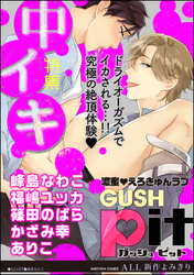 GUSHpit 中イキ