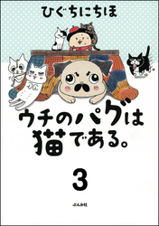 ウチのパグは猫である。（分冊版）　【第3話】