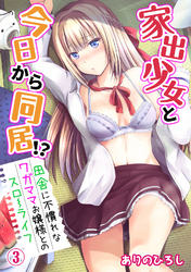 家出少女と今日から同居！？～田舎に不慣れなワガママお嬢様とのスローライフ～（３）