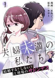 夫婦未満の私たち～結婚する？しない？土壇場のサドンデス１