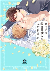 ビッチな猫は好奇心に勝てない（分冊版）　【第35話】