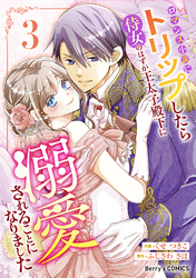 ロマンス小説にトリップしたら侍女のはずが王太子殿下に溺愛されることになりました3巻