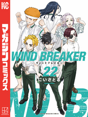 ＷＩＮＤ　ＢＲＥＡＫＥＲ（２２）