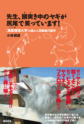 先生、頭突き中のヤギが尻尾で笑っています！