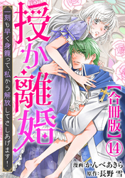 授か離婚～一刻も早く身籠って、私から解放してさしあげます！【合冊版】14