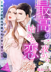 最高の一夜から始める恋～セレブ社長は今夜も私を甘く濡らす～【電子限定描き下ろし漫画付き】