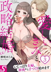 愛しいきみと、政略結婚～いじっぱり夫婦、初夜から子づくり始めます３