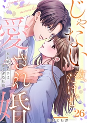 じゃない方、だけど愛され婚～契約婚の相手は一途すぎる社長２６