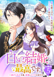 白い結婚、最高です。～虐げられた令嬢、新妻とメイドを兼任中～【分冊版】5