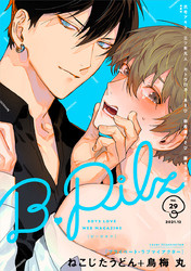 B.Pilz ｖｏｌ．29