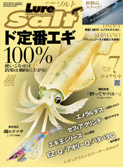 ルアーマガジンソルト2020年7月号