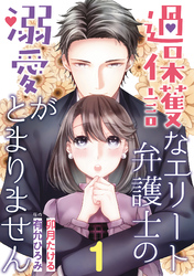 過保護なエリート弁護士の溺愛がとまりません【分冊版】1話