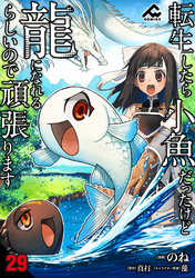 【分冊版】転生したら小魚だったけど龍になれるらしいので頑張ります 第29話