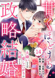 comic Berry’s甘くほどける政略結婚～大嫌いな人は愛したがりの許婚でした～14巻