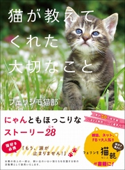 猫が教えてくれた大切なこと