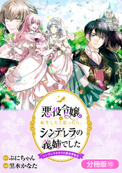 悪役令嬢に転生したと思ったら、シンデレラの義姉でした ～シンデレラオタクの異世界転生～【分冊版】 10巻