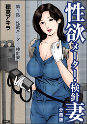 性欲メーター・検針妻（分冊版）