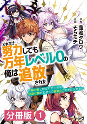 どれだけ努力しても万年レベル０の俺は追放された～神の敵と呼ばれた少年は、社畜女神と出会って最強の力を手に入れる～【分冊版】（ノヴァコミックス）１