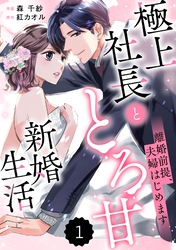 comic Berry’s離婚前提、夫婦はじめます～極上社長ととろ甘新婚生活～1巻