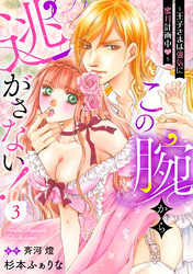この腕から逃がさない！～王子さまは強気に蜜月計画中～【分冊版】3