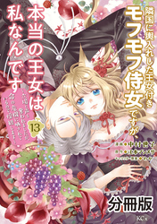隣国に輿入れした王女付きモフモフ侍女ですが、本当の王女は私なんです　分冊版（１３）　～立場と声を奪われましたが、命の危機に晒されているので傍観します～