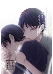 或る兄弟の話 2巻