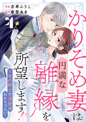 かりそめ妻は円満な離縁を所望します！～氷の騎士の溺愛はわかりづらい～ 4巻
