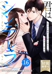comic Berry’s君はシンデレラ～孤高な御曹司が絶え間なく愛を注ぐ理由～【財閥御曹司シリーズ】16巻