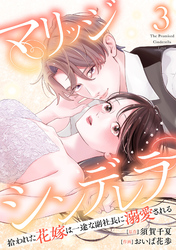 マリッジシンデレラ 拾われた花嫁は一途な副社長に溺愛される 3巻