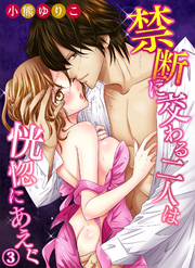 禁断に交わる二人は恍惚にあえぐ３