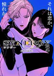 シナジー 2