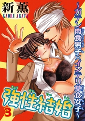 強性結婚～ガテン肉食男子×インテリ草食女子～3