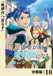飯屋のせがれ、魔術師になる。【分冊版】１０