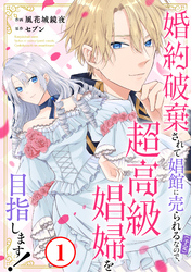 婚約破棄されて娼館に売られる（予定）なので、超高級娼婦を目指します！