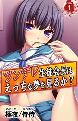 ツンデレ生徒会長はえっちな夢を見るか？～真面目な女子ほど、あふれる性欲の問題で悩んでる！？～