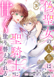 【期間限定　無料お試し版】偽聖女の人生は聖騎士に甘く塗り替えられる（3）
