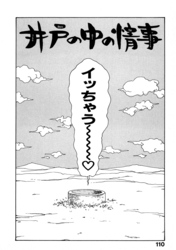 井の中の情事