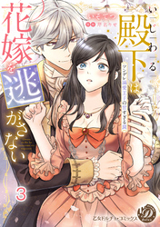 いじわる殿下は花嫁を逃がさない～ツンデレ溺愛王子の甘すぎる罠～vol.3