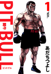 ＰＩＴ　ＢＵＬＬ－闘牛－（１）