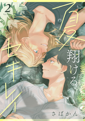 夏翔けるセキレイ2