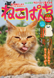 ねこぱんちNo.223 　桜ひらひら春ネコ号
