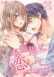 不器用に恋して～年下男子と秘密の同居 3