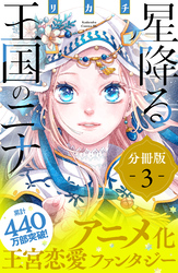 星降る王国のニナ　分冊版（３）