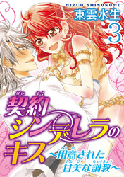 契約シンデレラのキス～用意された甘美な調教～【分冊版】3