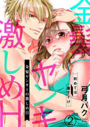 金髪ヤンキーの激しめH～初めては俺でイけ２